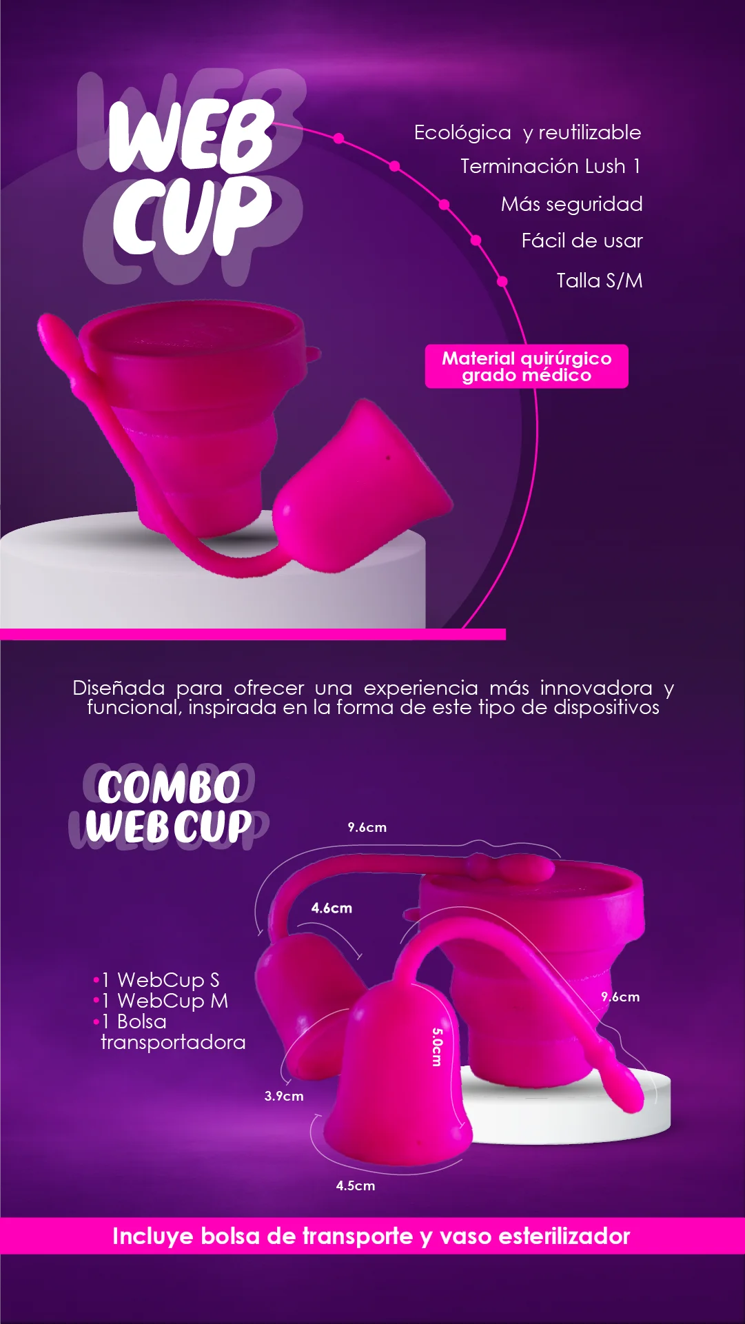 Página 8